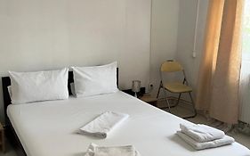 Octav Suite